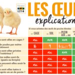 Quelle catégorie pour les œufs ?