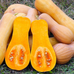 Quelle courge se mange avec la peau ?