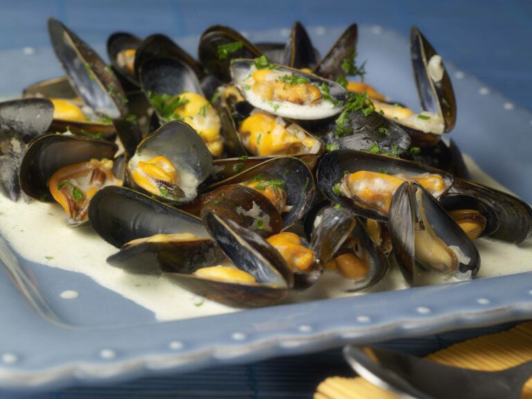 Quelle crème pour les moules ? Quelle crème pour les moules ?