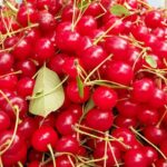 Quelle différence entre cerise et griotte ?