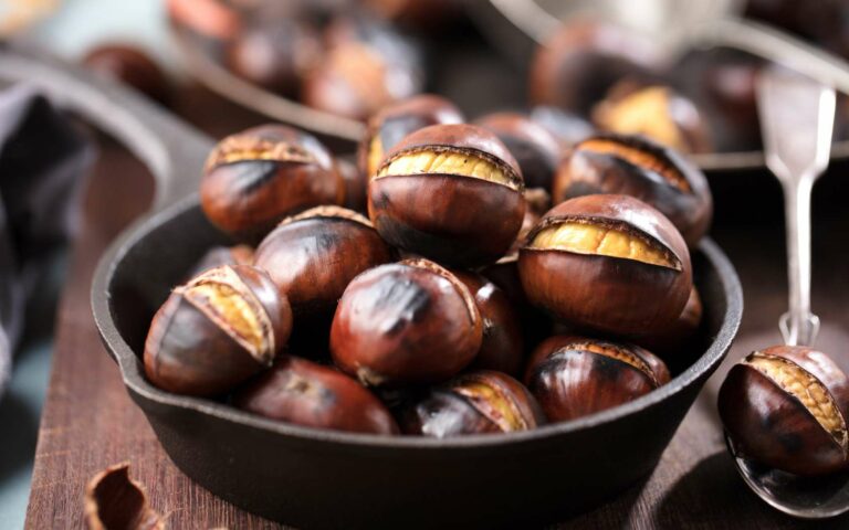 Quelle différence entre châtaigne et marronnier ?