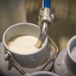 Quelle différence entre le lait cru et le lait pasteurisé ?