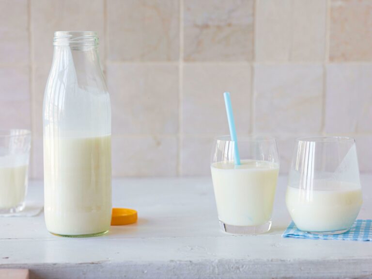 Quelle différence entre le lait de vache et le lait de brebis ?