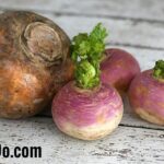 Quelle différence entre le rutabaga et le navet ?