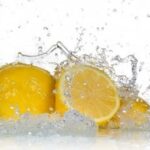 Quelle différence entre le zeste et le Ziste ?