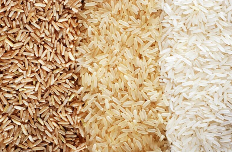Quelle différence entre riz et risotto ? Quelle différence entre riz et risotto ?