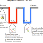 Quelle différence entre stérilisation et pasteurisation ?