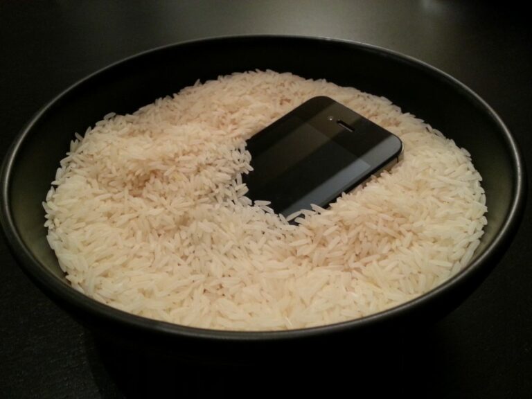 Quelle épice mettre dans le riz ? Quelle épice mettre dans le riz ?