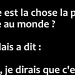 Quelle est la blague la plus drôle du monde ?
