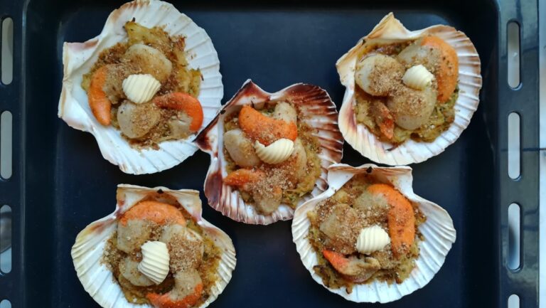 Quelle est la bonne période pour les coquilles St-jacques ?