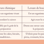 Quelle est la classification de la levure ?