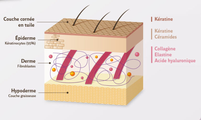 Quelle est la composition de la ricotta ?