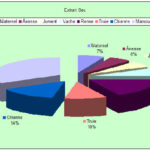 Quelle est la composition du lait de vache ?