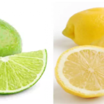 Quelle est la différence entre citron vert et citron jaune ?