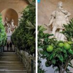 Quelle est la différence entre de l'eau de fleur d'oranger et de l'arôme de fleur d'oranger ?