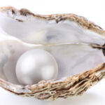 Quelle est la différence entre des perles du Japon et du tapioca ?