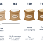 Quelle est la différence entre farine de blé et semoule de blé ?
