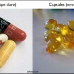 Quelle est la différence entre la gâche et la brioche ?