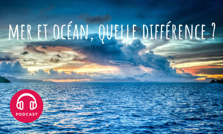 Quelle est la différence entre la mer et l'océan Atlantique ?