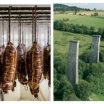 Quelle est la différence entre l'andouille de guemene et l'andouille de Vire ?