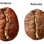 Quelle est la différence entre le café arabica et Robusta ?