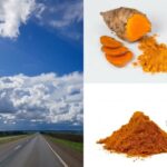 Quelle est la différence entre le curry et le curry Madras ?