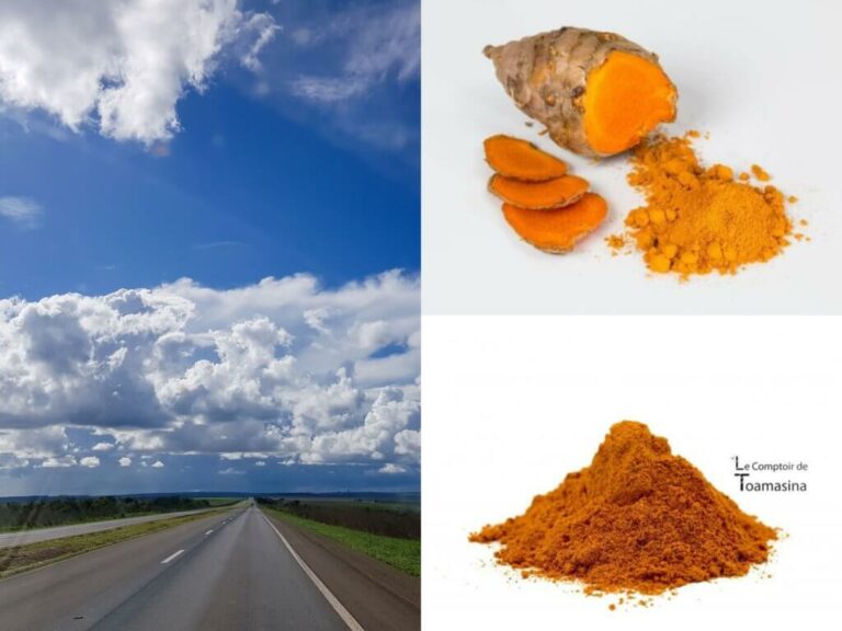 Quelle est la différence entre le curry et le curry Madras ?