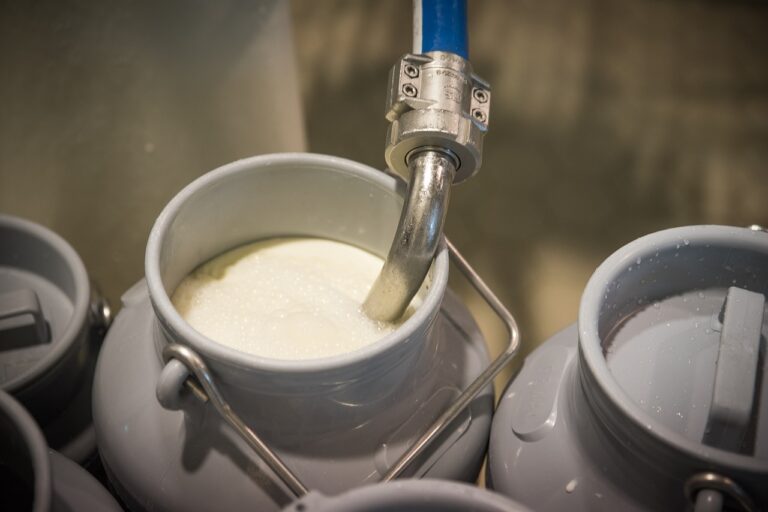 Quelle est la différence entre le lait cru et le lait pasteurisé ? Quelle est la différence entre le lait cru et le lait pasteurisé ?