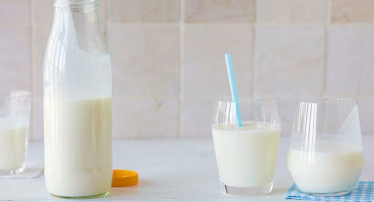 Quelle est la différence entre le lait entier et le lait écrémé ?