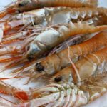 Quelle est la différence entre les crevettes grises et les crevettes roses ?