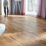 Quelle est la différence entre sain et saint ?