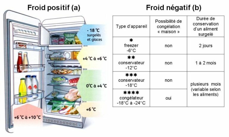 Quelle est la durée de conservation des aliments congelés ? Quelle est la durée de conservation des aliments congelés ?