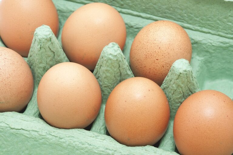 Quelle est la durée de conservation des œufs ?