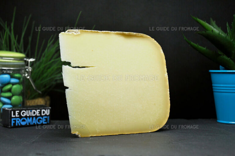 Quelle est la famille du fromage AOC Ossau-Iraty ?