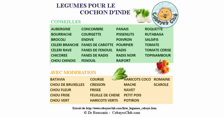 Quelle est la liste des légumes ?