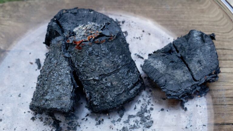 Quelle est la matière première du camembert ? Quelle est la matière première du camembert ?