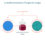 Quelle est la matière première du lait ?