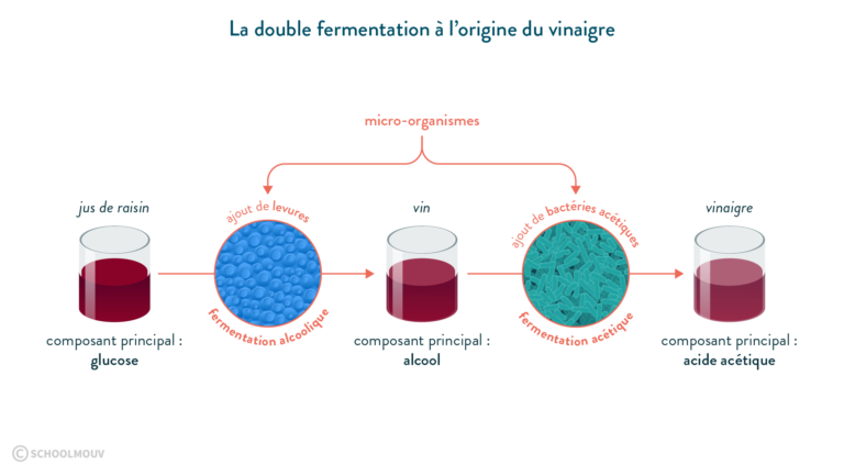 Quelle est la matière première du lait ? Quelle est la matière première du lait ?