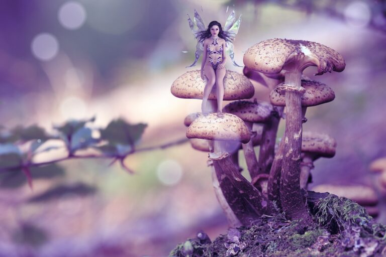 Quelle est la meilleure application pour identifier les champignons ?