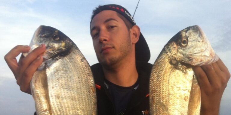 Quelle est la meilleure dorade ? Quelle est la meilleure dorade ?