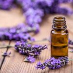 Quelle est la meilleure huile pour la peau ?