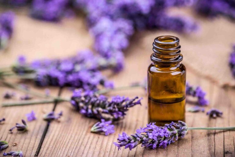 Quelle est la meilleure huile pour la peau ?