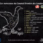 Quelle est la meilleure partie du canard ?