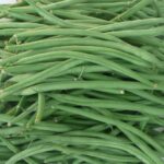 Quelle est la meilleure variété de haricots verts ?