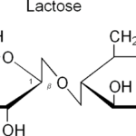 Quelle est la molécule du lait ?