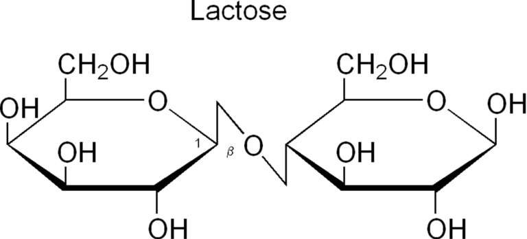Quelle est la molécule du lait ?