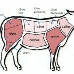 Quelle est la partie de la souris d'agneau ?