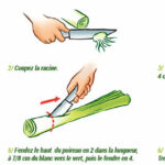 Quelle est la partie du poireau qui se mange ?
