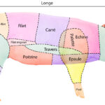 Quelle est la partie la plus tendre du porc ?