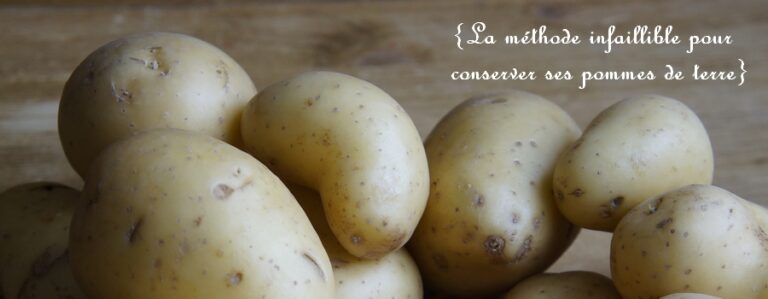 Quelle est la pomme de terre qui se conserve le mieux ?